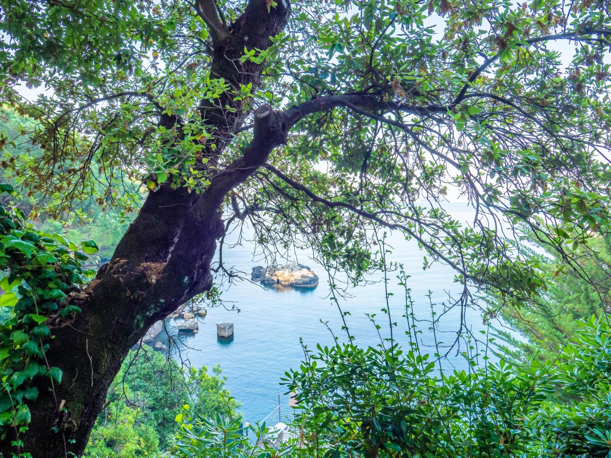 Hotel Il Nido Tellaro Esterno foto